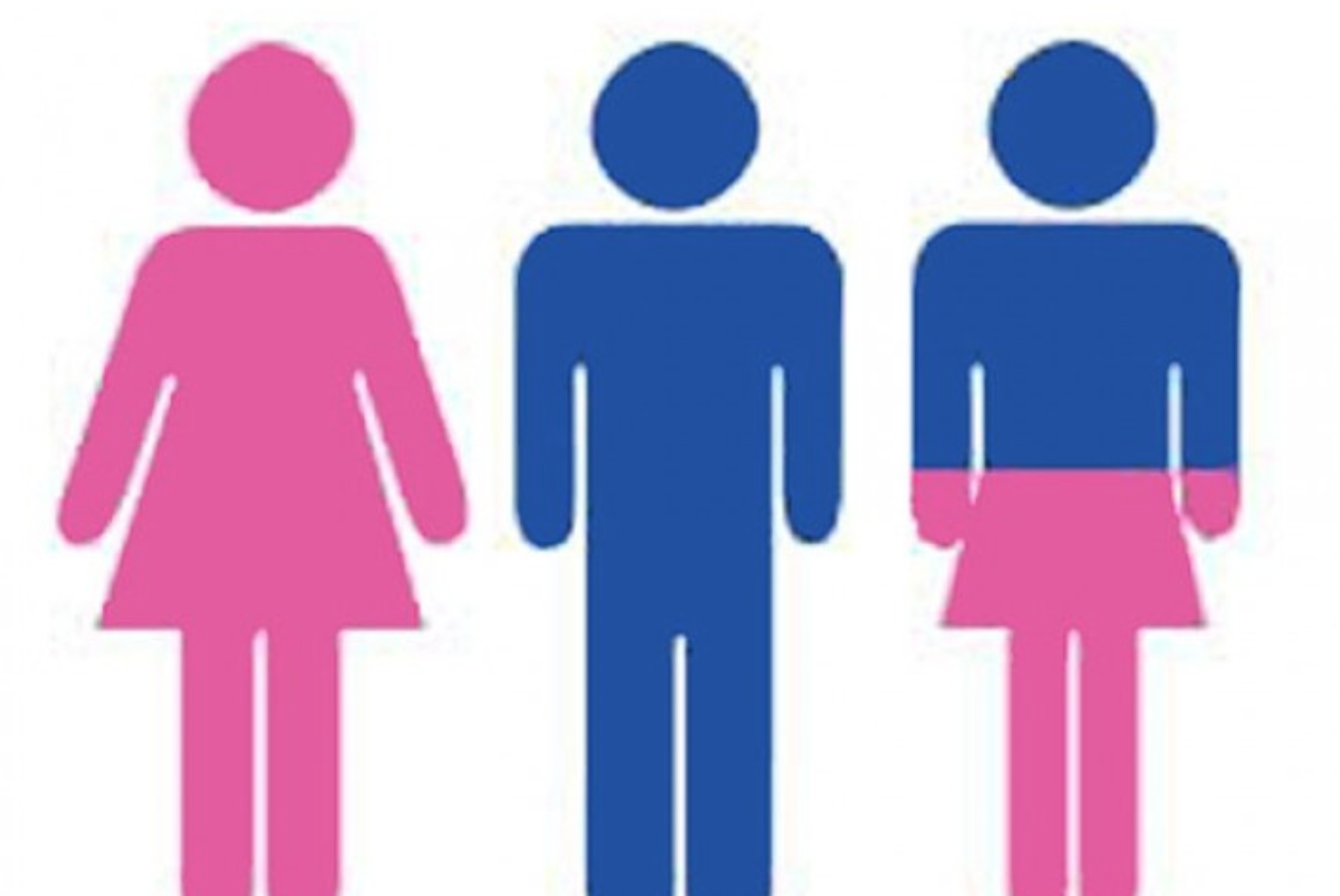 Il bagno gender neutral arriva nelle scuole di Torino. Chi tutela le ragazze? 1